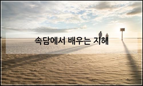 오늘의 이미지