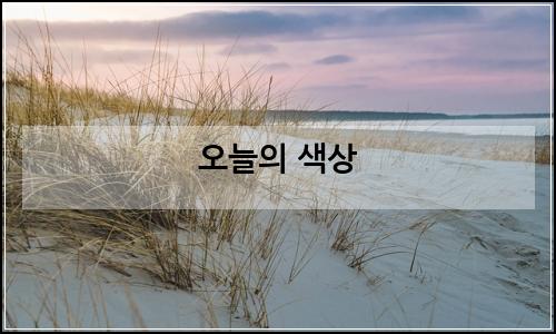 오늘의 이미지