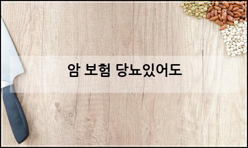 오늘의 이미지