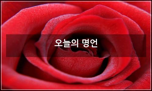 오늘의 이미지