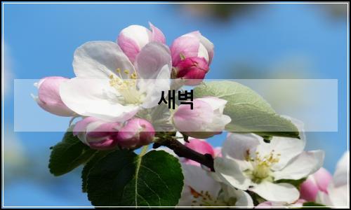 오늘의 이미지