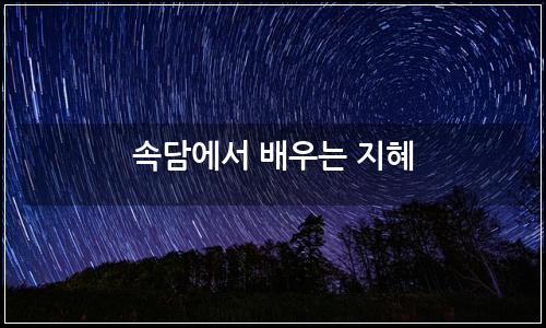 오늘의 이미지
