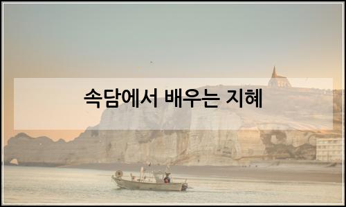 오늘의 이미지