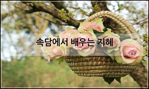 오늘의 이미지