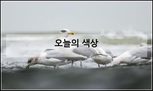 오늘의 이미지