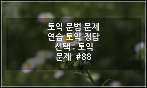 오늘의 이미지