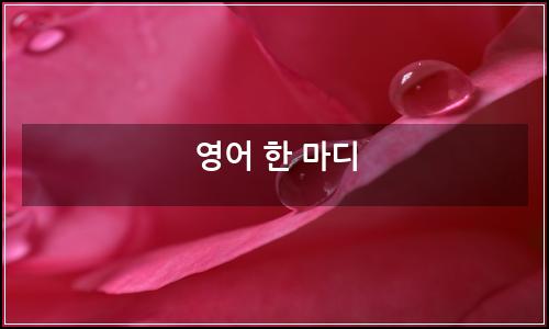 오늘의 이미지