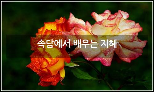 오늘의 이미지