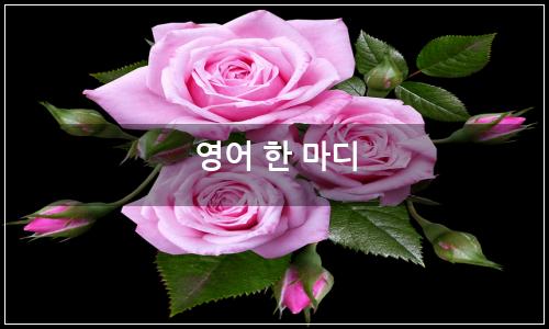 오늘의 이미지