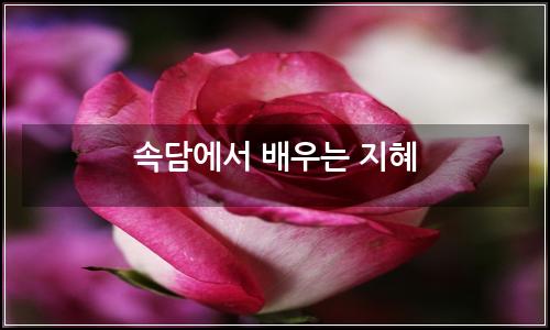 오늘의 이미지