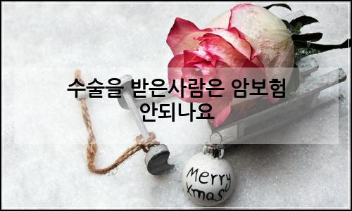 오늘의 이미지