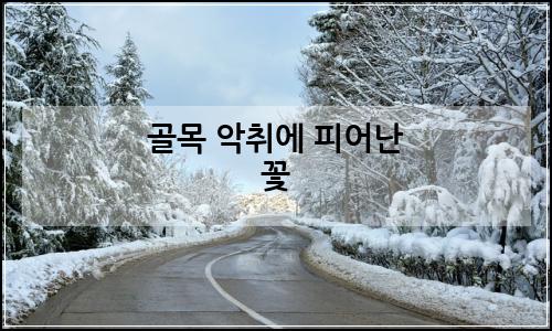 오늘의 이미지