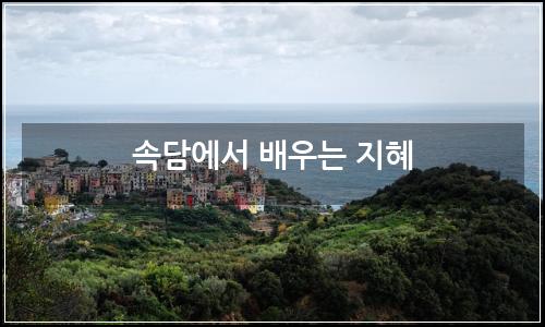 오늘의 이미지