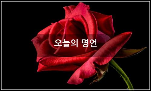 오늘의 이미지