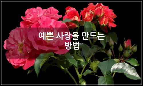 오늘의 이미지