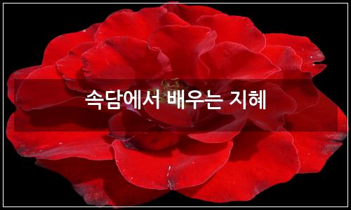 오늘의 이미지