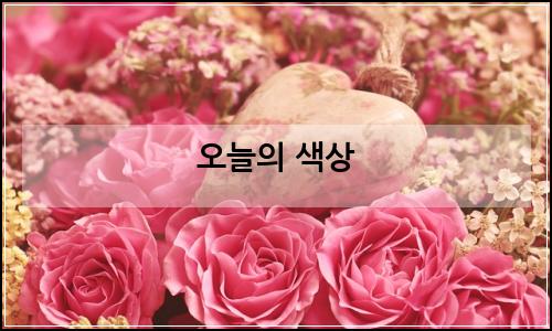 오늘의 이미지