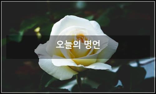 오늘의 이미지