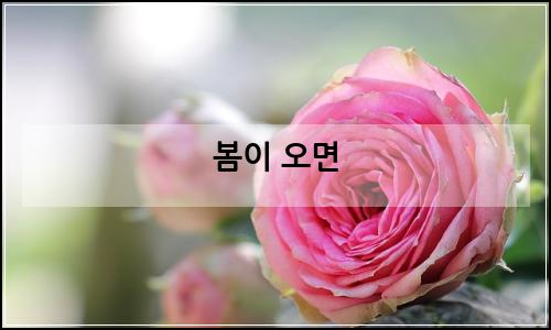 오늘의 이미지