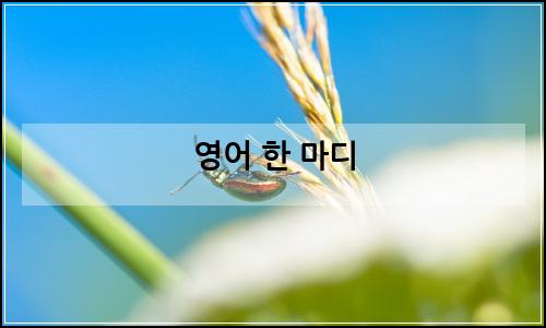 오늘의 이미지