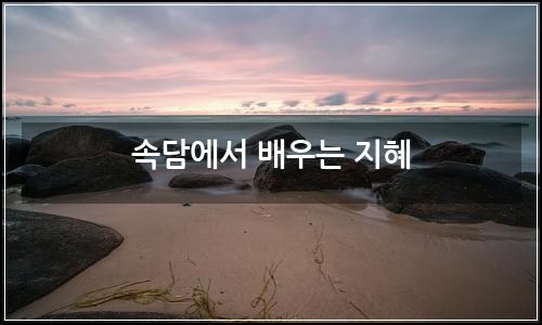 오늘의 이미지