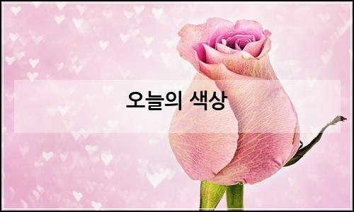 오늘의 이미지