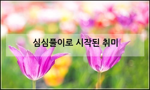 오늘의 이미지