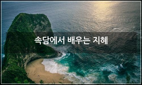 오늘의 이미지