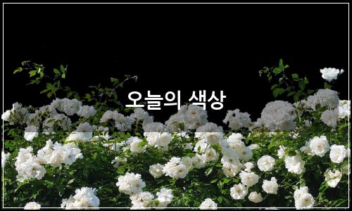 오늘의 이미지