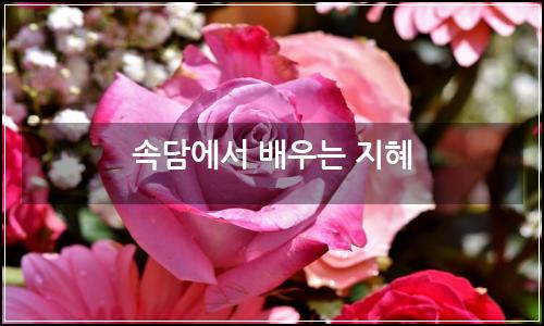 오늘의 이미지