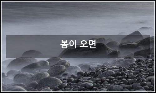 오늘의 이미지
