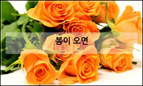 오늘의 이미지