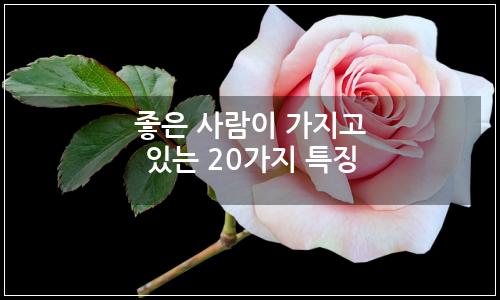 오늘의 이미지