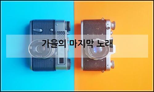 오늘의 이미지