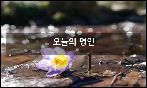 오늘의 이미지