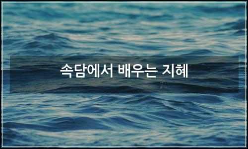 오늘의 이미지