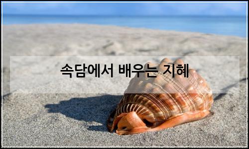 오늘의 이미지