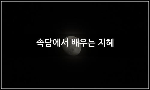 오늘의 이미지