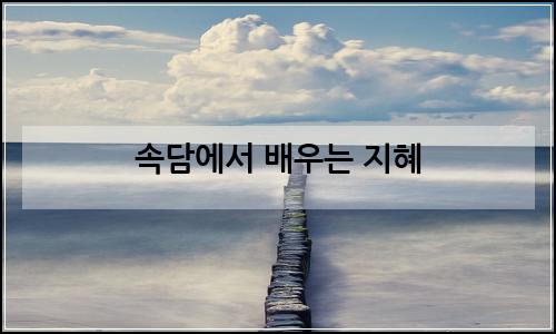 오늘의 이미지
