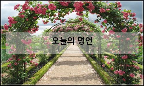 오늘의 이미지