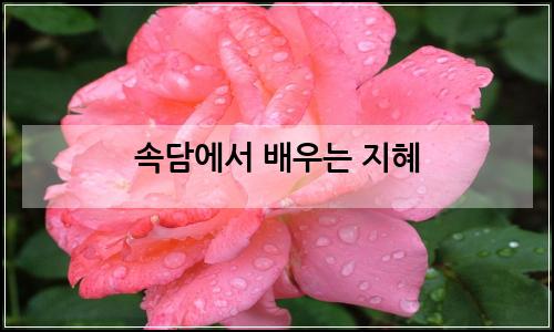오늘의 이미지