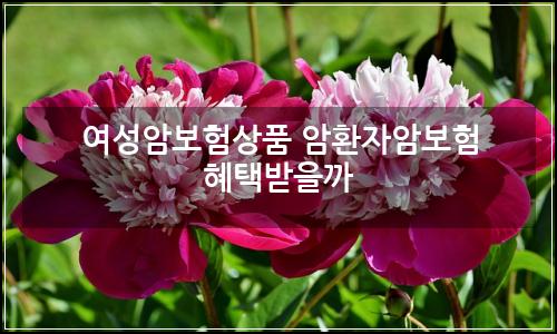 오늘의 이미지