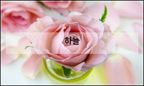 오늘의 이미지