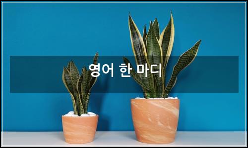 오늘의 이미지