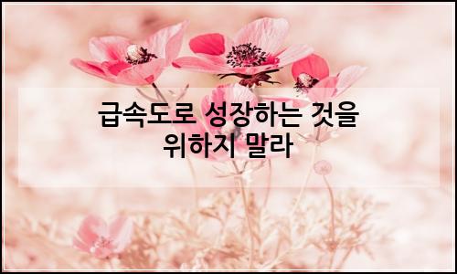 오늘의 이미지
