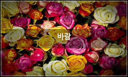 오늘의 이미지