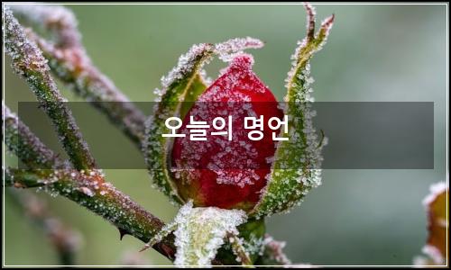 오늘의 이미지