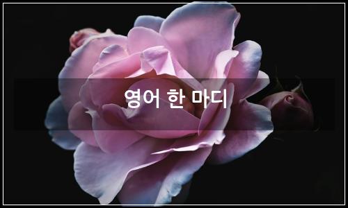 오늘의 이미지
