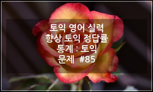 오늘의 이미지