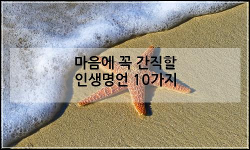 오늘의 이미지